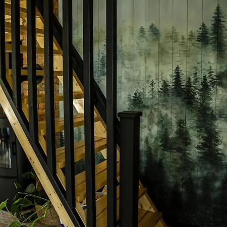 بيت للعطل Dom Na Krancu Lasu